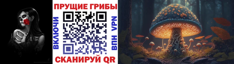 hydra как войти  Уяр  Псилоцибиновые грибы ЛСД 